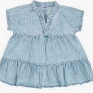 One Plus In The Family Denim Dress
